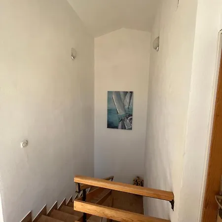 And Markovski 3* Palit