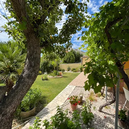 And Markovski Guest house 3*