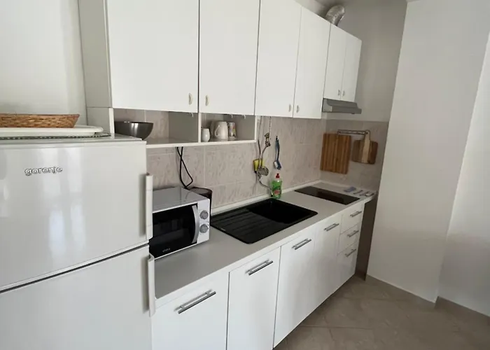 And Markovski Casa de hóspedes Palit